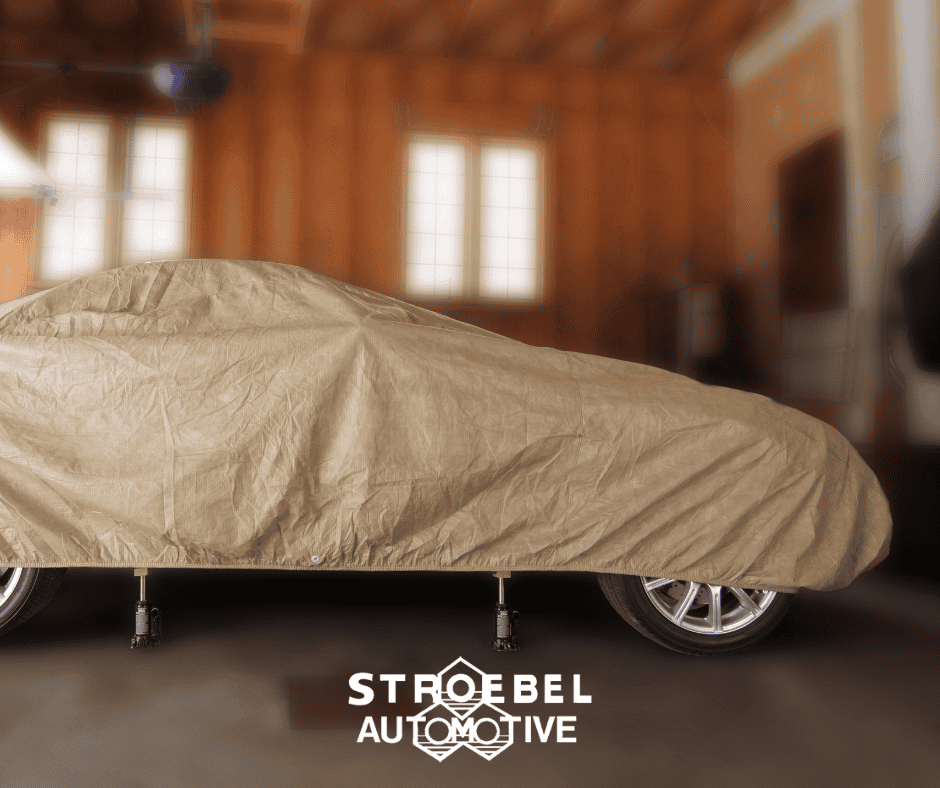 Storing for Winter